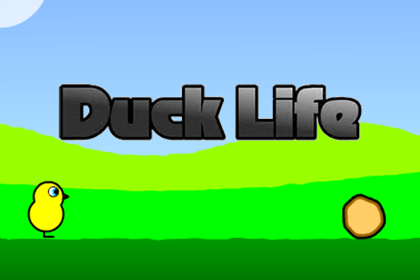 Duck Life 1